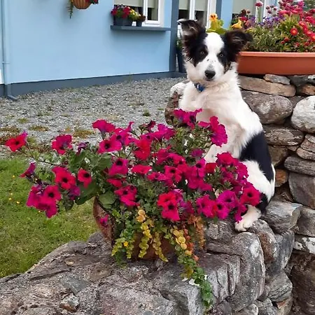 Wildflower - Countryside Lettings Hébergement de vacances