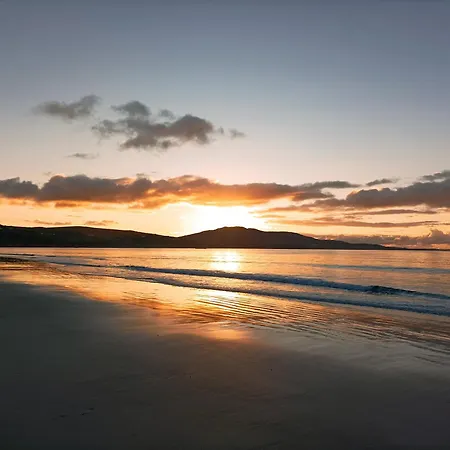 Hébergement de vacances Wildflower - Countryside Lettings Clifden