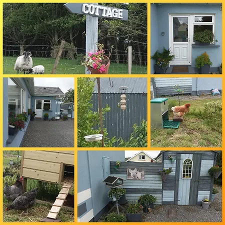 Wildflower - Countryside Lettings Hébergement de vacances *